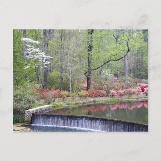 アメリカ、ジョージア、パイン山。小さな滝 ポストカード (正面)