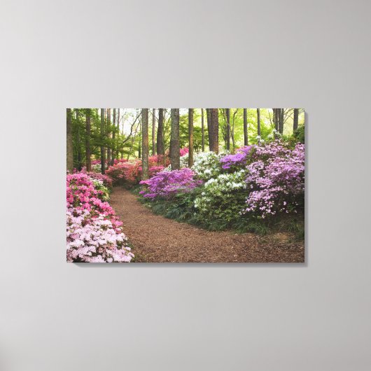 アメリカ、ジョージア、パイン山。通る道 キャンバスプリント (正面)