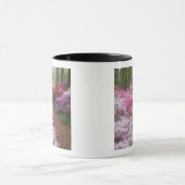 アメリカ；ジョージア。松山。アザリアス2 マグカップ (中央)