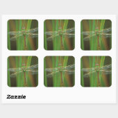 アメリカ、ジョージア。葦に乗ったグリーンダーナードラゴンフライ スクエアシール (シート)