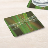 アメリカ、ジョージア。葦に乗ったグリーンダーナードラゴンフライ スクエアペーパーコースター (アングル)