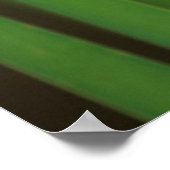 アメリカ、ジョージア。葦に乗ったグリーンダーナードラゴンフライ ポスター (角)