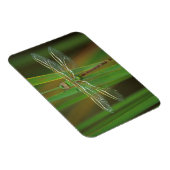 アメリカ、ジョージア。葦に乗ったグリーンダーナードラゴンフライ マグネット (右側)