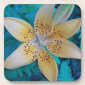 アメリカ・タイガー・リリー コースター (正面)