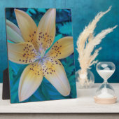 アメリカ・タイガー・リリー フォトプラーク (側面)