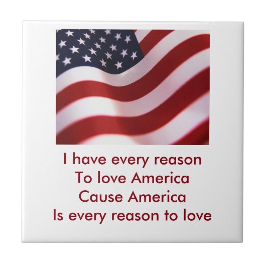 アメリカ タイル (正面)