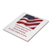 アメリカ タイル (側面)