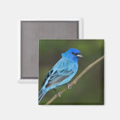 アメリカ、テキサス州、サウスパドリ島 マグネット (正面/裏面)