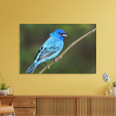 アメリカ、テキサス州、サウスパドレアイランド キャンバスプリント (インサイチュ (リビング))