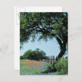 アメリカ、テキサス州、テキサス州ヒルカントリーペイントブラシと ポストカード (正面/裏面)