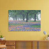 アメリカ，テキサス州,テキサス州ヒルカントリー広大なフィールド キャンバスプリント (インサイチュ (リビング))