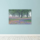 アメリカ，テキサス州,テキサス州ヒルカントリー広大なフィールド キャンバスプリント (インサイチュ (ウッドフロア))