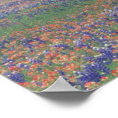 アメリカ，テキサス州,テキサス州ヒルカントリー広大なフィールド ポスター (角)