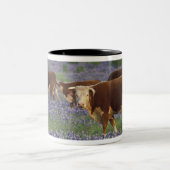 アメリカ、テキサス州、テキサス州・ヒル・カントリー、ヘレフォード ツートーンマグカップ (中央)