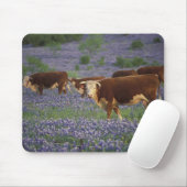 アメリカ、テキサス州、テキサス州・ヒル・カントリー、ヘレフォード マウスパッド (マウス)