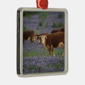 アメリカ、テキサス州、テキサス州・ヒル・カントリー、ヘレフォード メタルオーナメント (右)