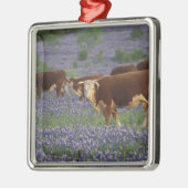 アメリカ、テキサス州、テキサス州・ヒル・カントリー、ヘレフォード メタルオーナメント (左)