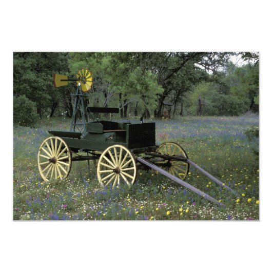 アメリカ, テキサス州, ディヴァイン, 古い荷車と フォトプリント (正面)