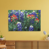 アメリカ、テキサス州・ヒル・カントリー。Bluebonnetsおよび キャンバスプリント (インサイチュ (リビング))