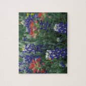 アメリカ、テキサス州・ヒル・カントリー。Bluebonnetsおよび ジグソーパズル (縦)