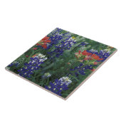 アメリカ、テキサス州・ヒル・カントリー。Bluebonnetsおよび タイル (側面)