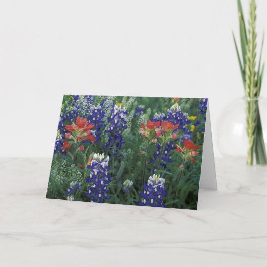 アメリカ、テキサス州·ヒル·カントリー。Bluebonnetsと カード (正面)