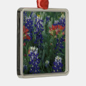 アメリカ、テキサス州·ヒル·カントリー。Bluebonnetsと メタルオーナメント (右)