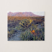 アメリカ、テキサス州、ビッグベンドNP。砂色のピンクの夕暮れ ジグソーパズル (横)