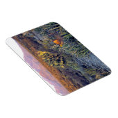 アメリカ、テキサス州、ビッグベンドNP。砂色のピンクの夕暮れ マグネット (右側)