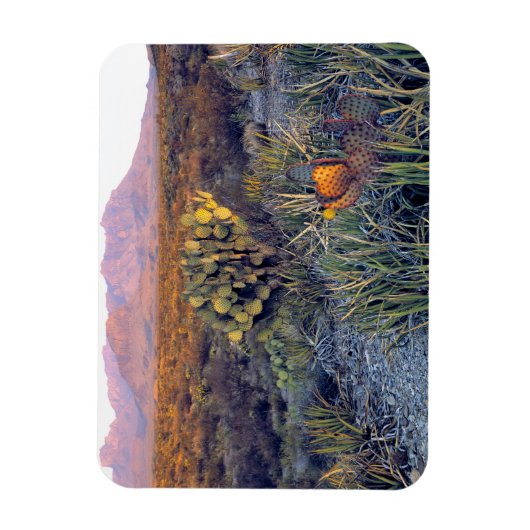 アメリカ、テキサス州、ビッグベンドNP。砂色のピンクの夕暮れ マグネット (縦)