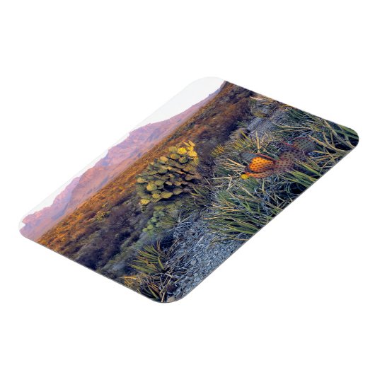 アメリカ、テキサス州、ビッグベンドNP。砂色のピンクの夕暮れ マグネット (左側)