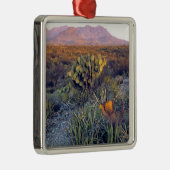 アメリカ、テキサス州、ビッグベンドNP。砂色のピンクの夕暮れ メタルオーナメント (右)