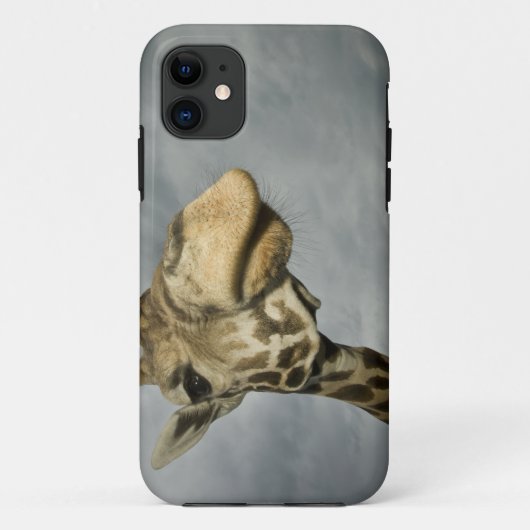 アメリカ、テキサス州、フォッシルリム野生生物保護区、キリン Case-Mate iPhoneケース (裏面)
