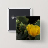 アメリカ、テキサス州、プリクリー·ペア·サボテン開花。 缶バッジ (正面&裏面)