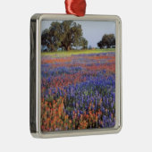 アメリカ、テキサス州、ラノ。ブルーボンネットとレッドボンネット メタルオーナメント (右)