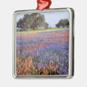 アメリカ、テキサス州、ラノ。ブルーボンネットとレッドボンネット メタルオーナメント (左)