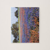 アメリカ、テキサス州、ラノ。BluebonnetsとRedbonnets ジグソーパズル (縦)