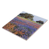 アメリカ、テキサス州、ラノ。BluebonnetsとRedbonnets タイル (側面)