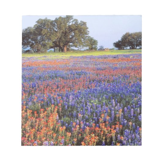 アメリカ、テキサス州、ラノ。BluebonnetsとRedbonnets ノートパッド (正面)