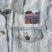 アメリカ、テキサス州、ラノ。BluebonnetsとRedbonnets 缶バッジ (インサイチュ)