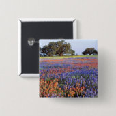 アメリカ、テキサス州、ラノ。BluebonnetsとRedbonnets 缶バッジ (正面&裏面)