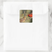 アメリカ、テキサス州、リオグランデバレー、マカレン。マート スクエアシール (バッグ)