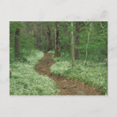 アメリカ, テネシー州, グレートスモーキー山脈国立公園, 3 ポストカード (正面)