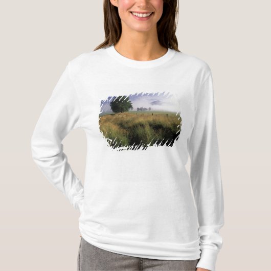 アメリカ,テネシー州,グレートスモーキー山脈 Tシャツ (正面)