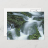 アメリカ、テネシー素晴らし州、スモークマウンテンNP。 ポストカード (正面/裏面)