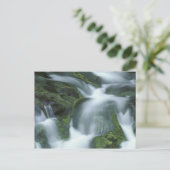 アメリカ、テネシー素晴らし州、スモークマウンテンNP。 ポストカード (スタンド正面)