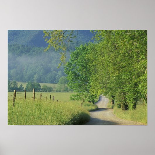 アメリカ、テネシー素晴らし州、スモーク山脈NP ポスター (正面)