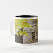 アメリカ、テネシー、ガトリンブルク。スモ素晴らしーキ ツートーンマグカップ (正面左)