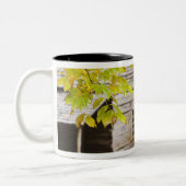 アメリカ、テネシー、ガトリンブルク。スモ素晴らしーキ ツートーンマグカップ (左)