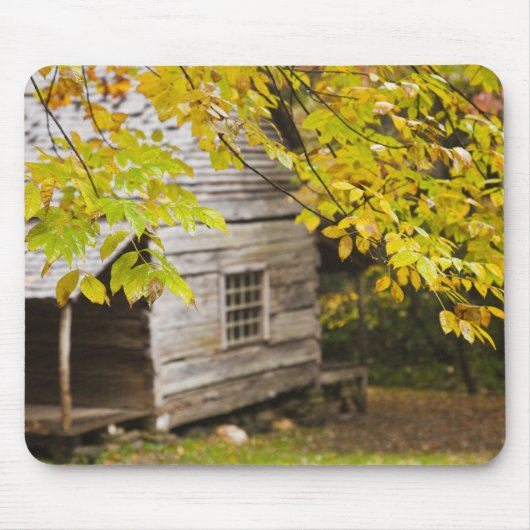 アメリカ、テネシー、ガトリンブルク。スモ素晴らしーキ マウスパッド (正面)